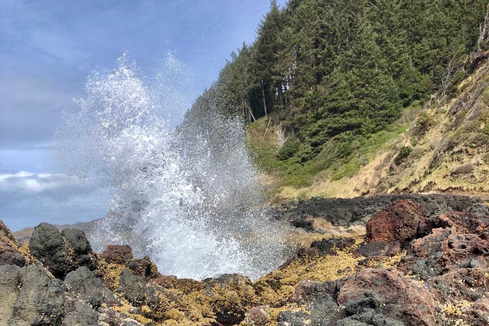 A coastal tide pool full with the splash of waves behind it.