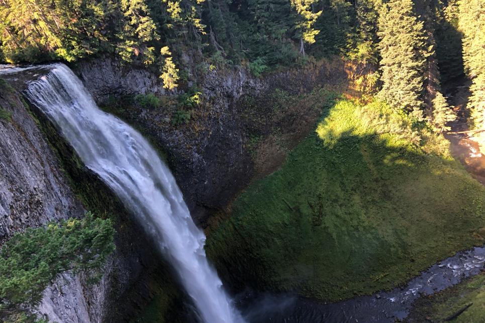 Salt Creek Falls in Summer
