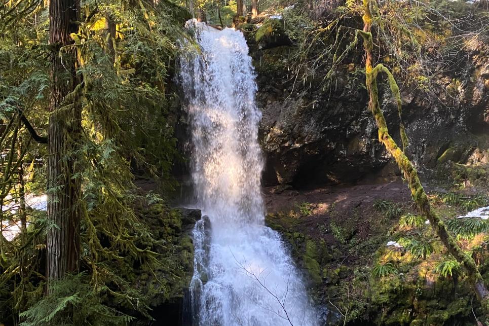 Front of Upper Trestle Creek Falls