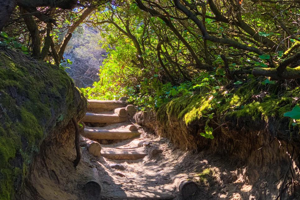 Hobbit Beach trail by Melanie Griffin
