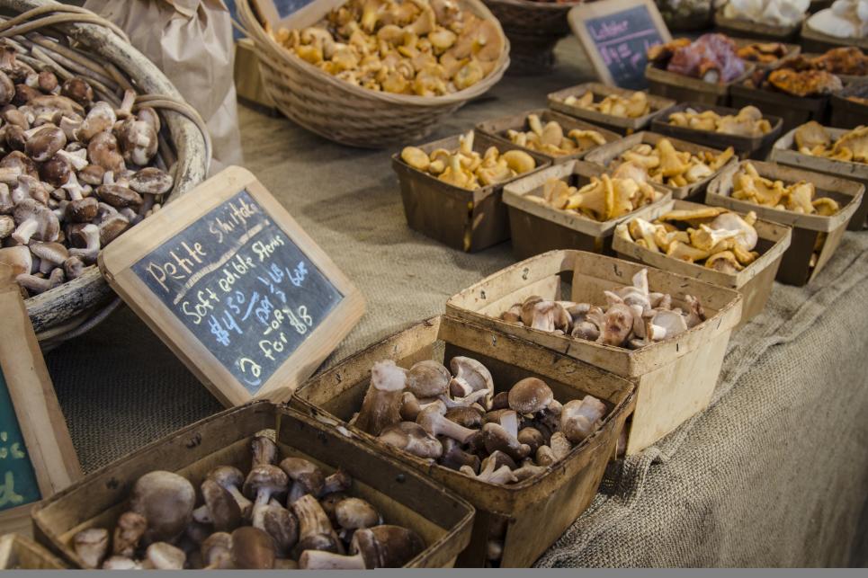 Mushrooms at Lane County Farmers Market by Katie McGuigan