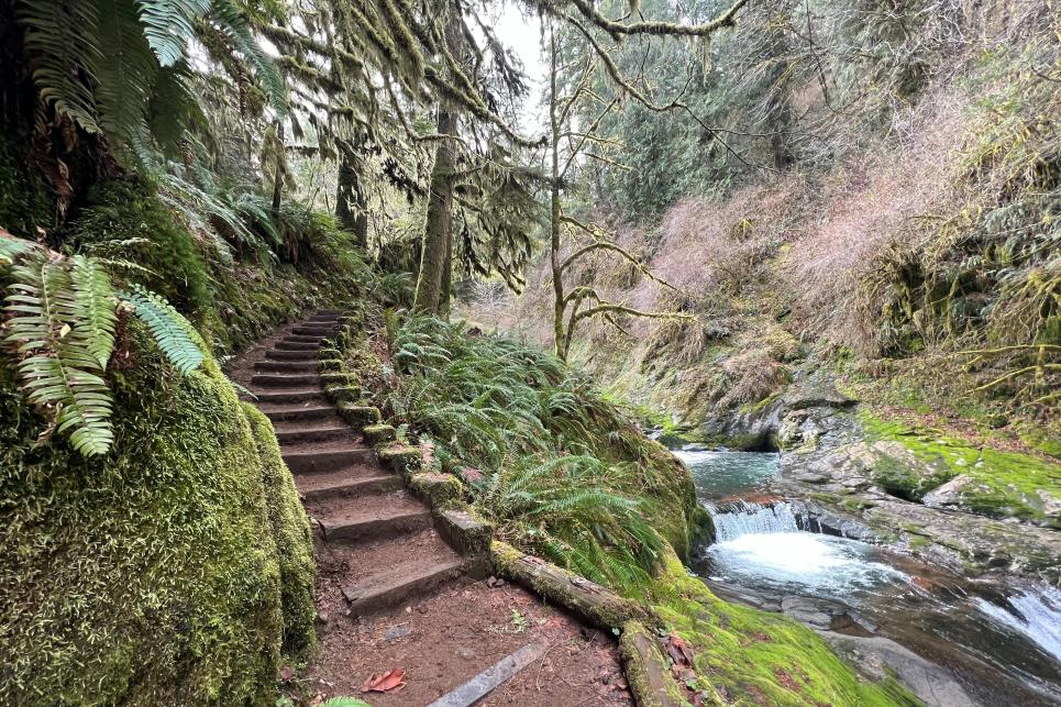 Sweet Creek Falls Trail