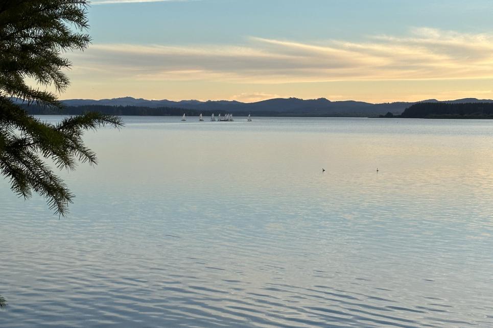 View of the large lake speckled with sailboats.