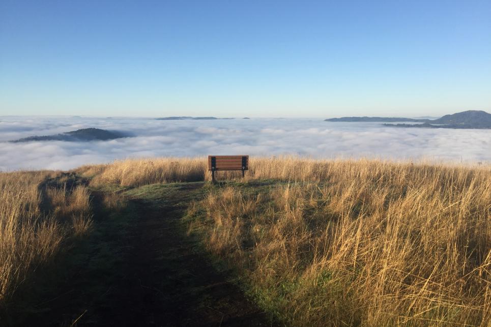 Mount Pisgah in the Fog by Melanie Griffin