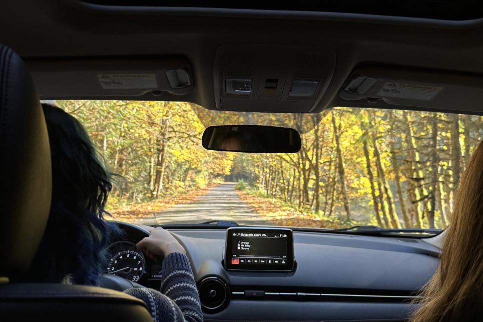 Looking out the front window of a car on a road surrounded by yellow leaves in the fall.