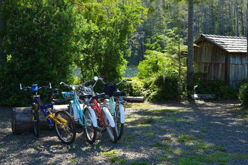 A colorful collection of bicycles in the bike rack by Cleawox Lake.
