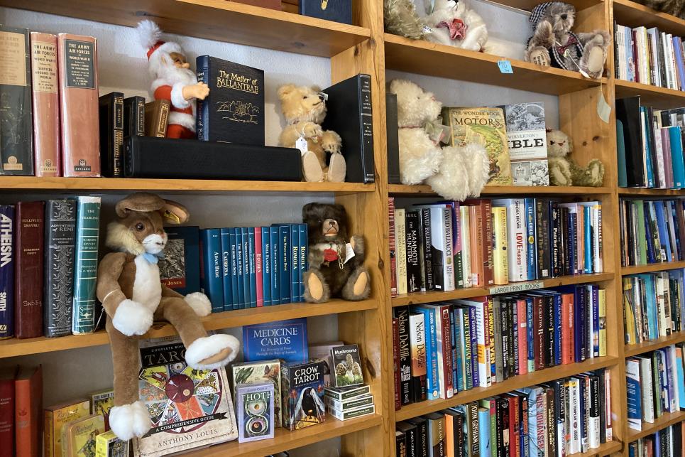 Bookshelves full of books and bears