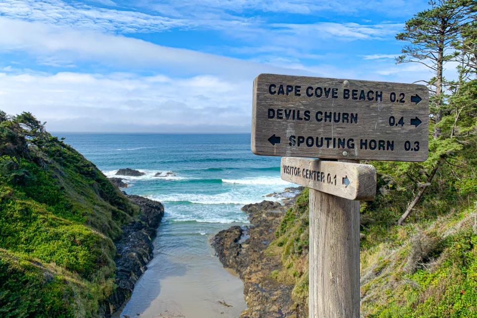A wooden sign points to different coastal attractions. In the background is a small beach and blue skies.