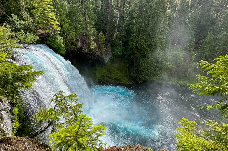 Koosah Falls in the summer