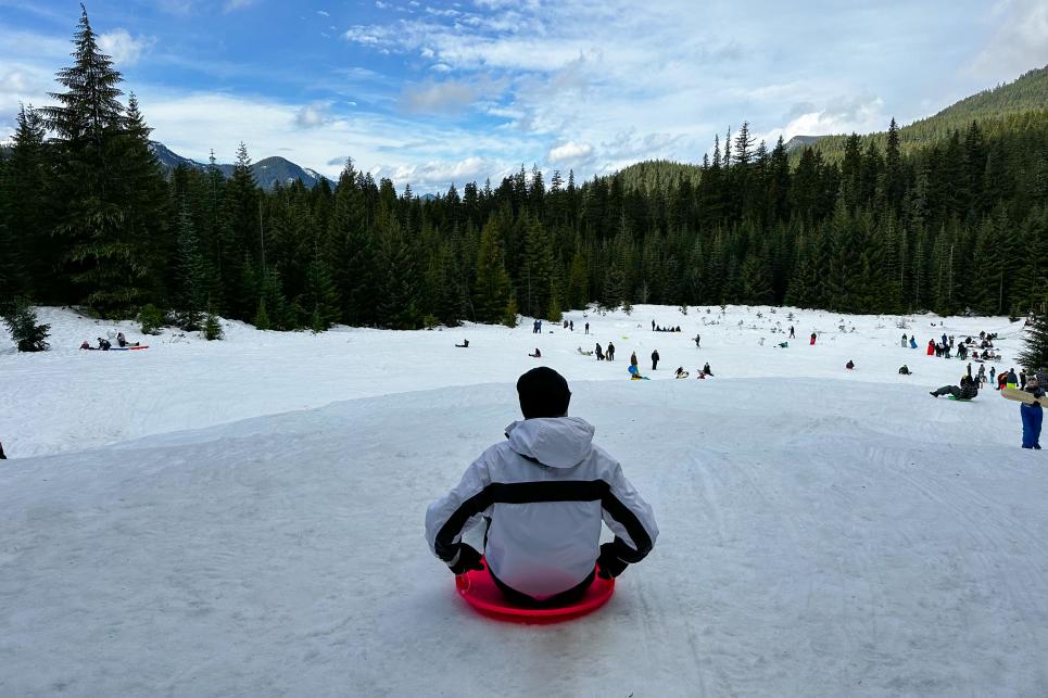 A person sits on a pink sled on top of a snow-covered hill.