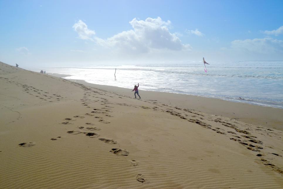 Kite Flying at South Jetty in Florence by Sally McAleer