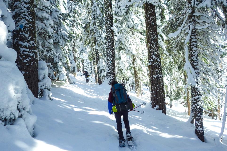 Snowshoeing near Willamette Pass by Joey Jewell