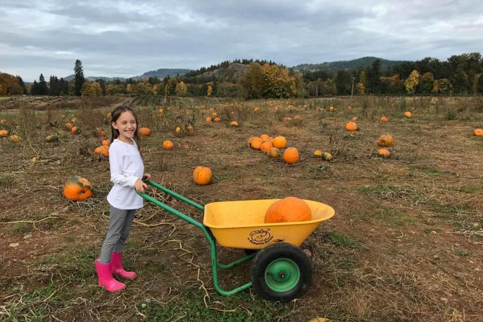 Northern Lights Christmas Tree Farm Pumpkin Patch by Taj Morgan