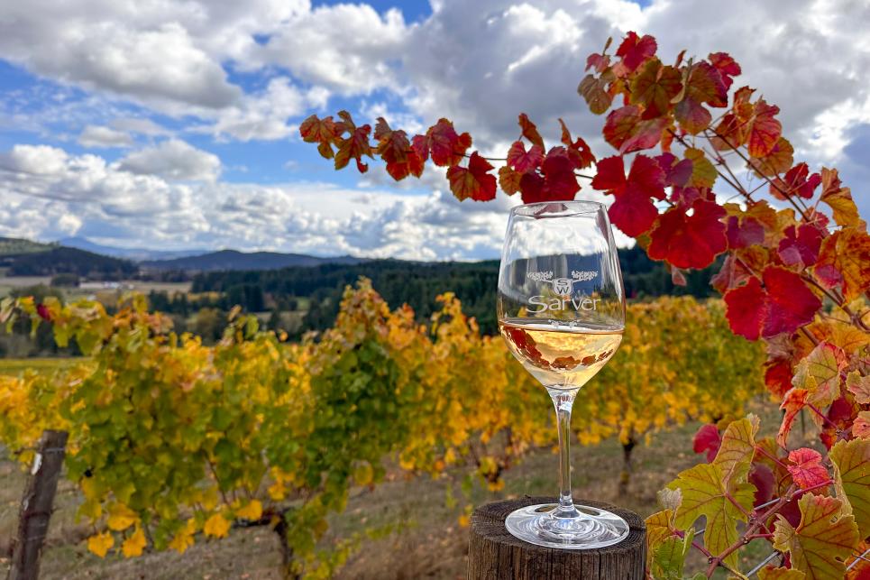 A glass of white wine sits atop a vineyard post with red and gold grape leaves in the background.