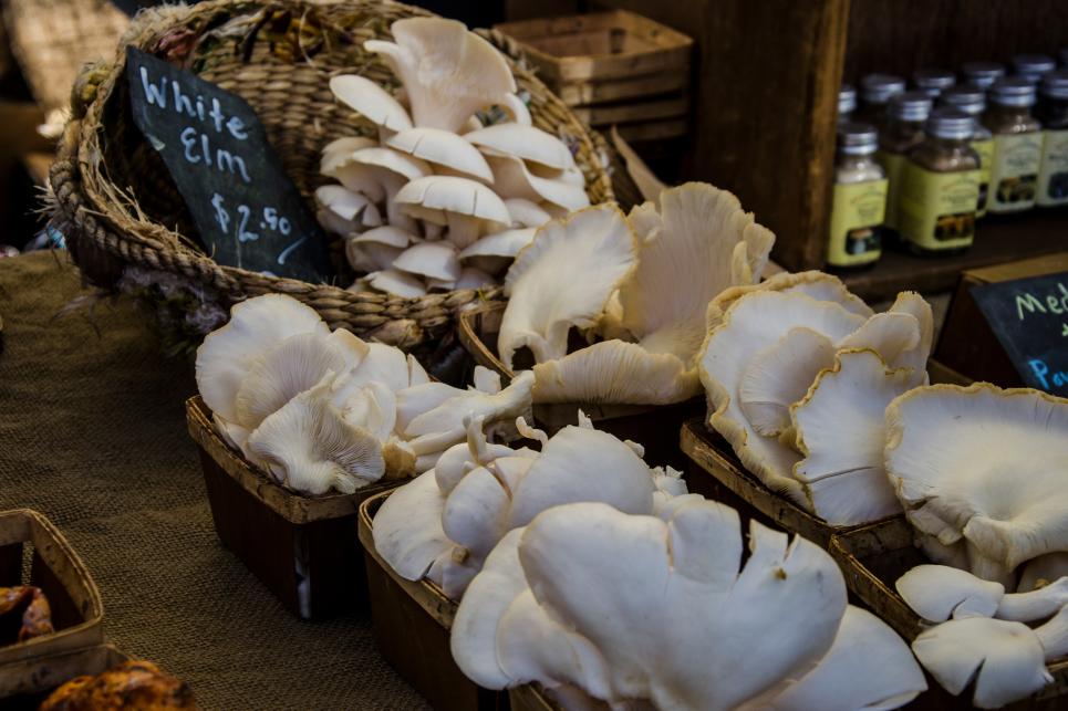 Mushrooms displayed at Farmers Market
