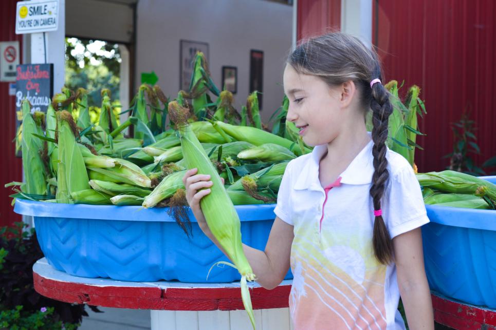 Corn at Bush's Fern View Farm by Melanie Griffin