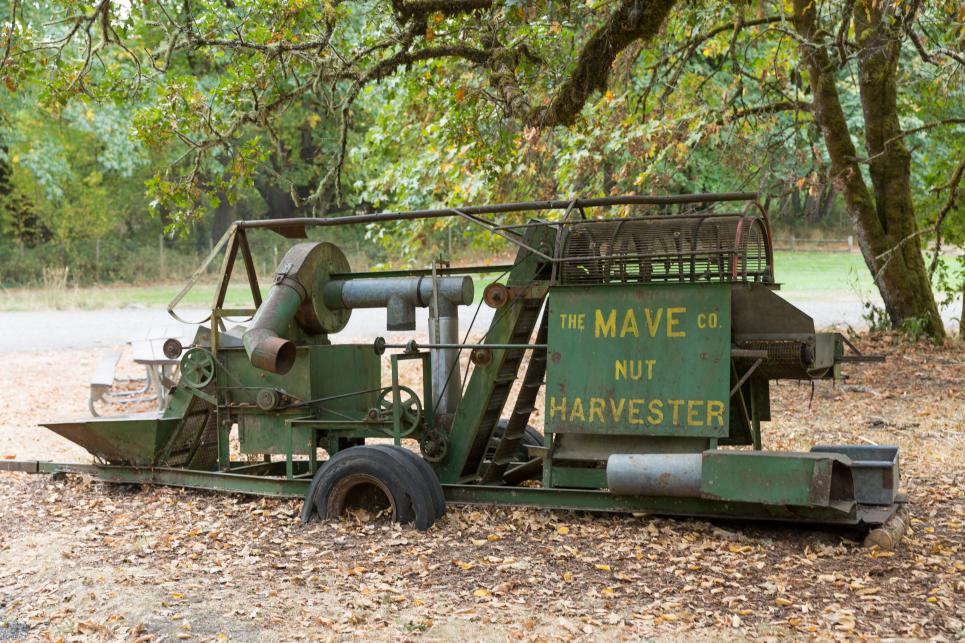 Old hazelnut harvesting machinery