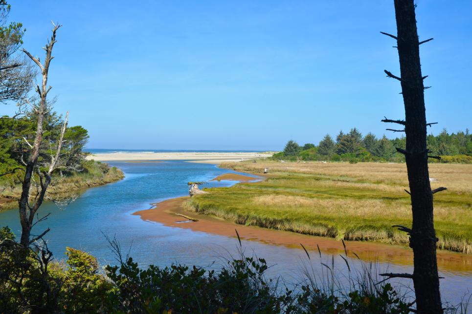 Siltcoos River winds towards the ocean through coastal grasslands and sandy beaches.