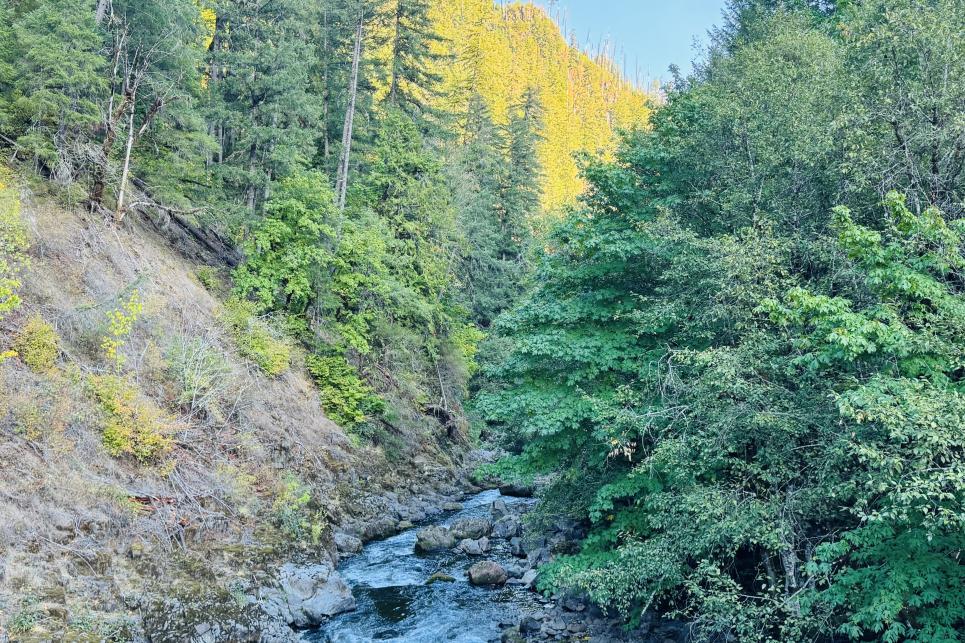 A river flows through a valley between yellow and green trees on hills.