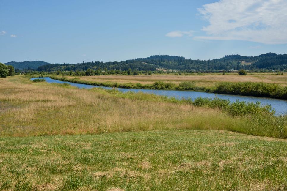 Green and yellow meadow on both sides of a waterway with low hills and blue sky in the background.