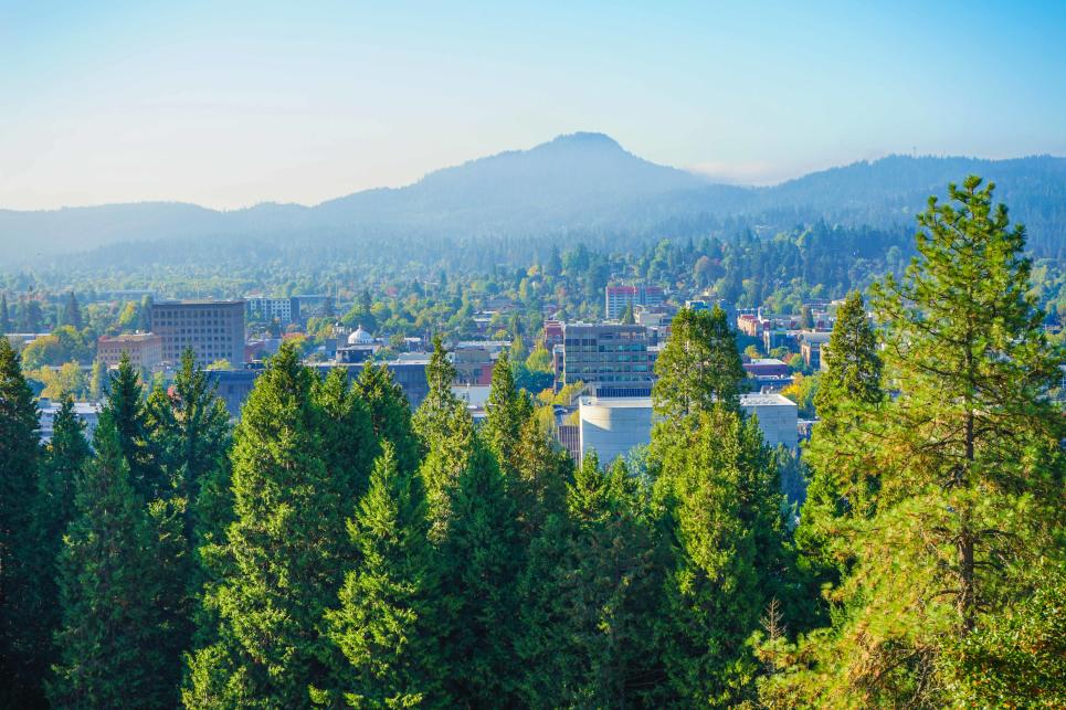 A viewpoint overlooking the city of Eugene shows trees in the foreground, then buildings and streets with a mountain butte in the background.