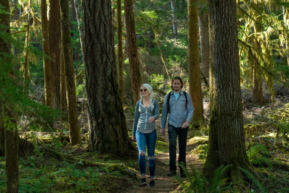 Kings Castle Trail in the Willamette National Forest