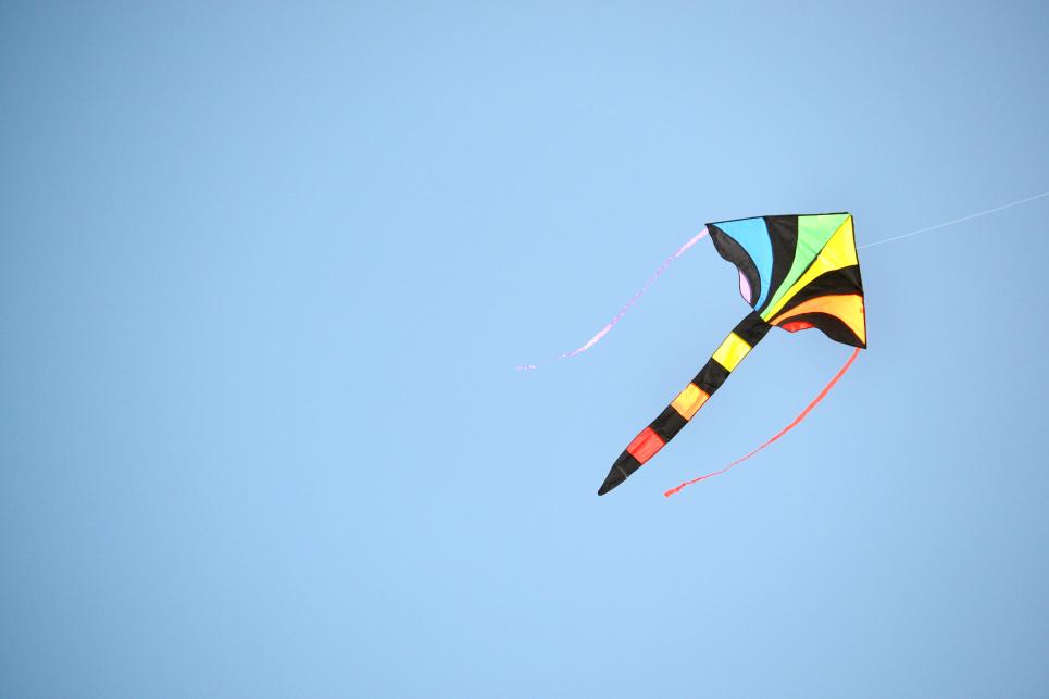 Kite Flying on the Beach