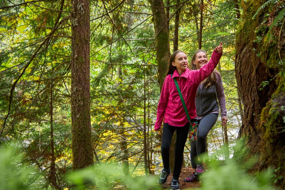 Two people hike a lush forest trail
