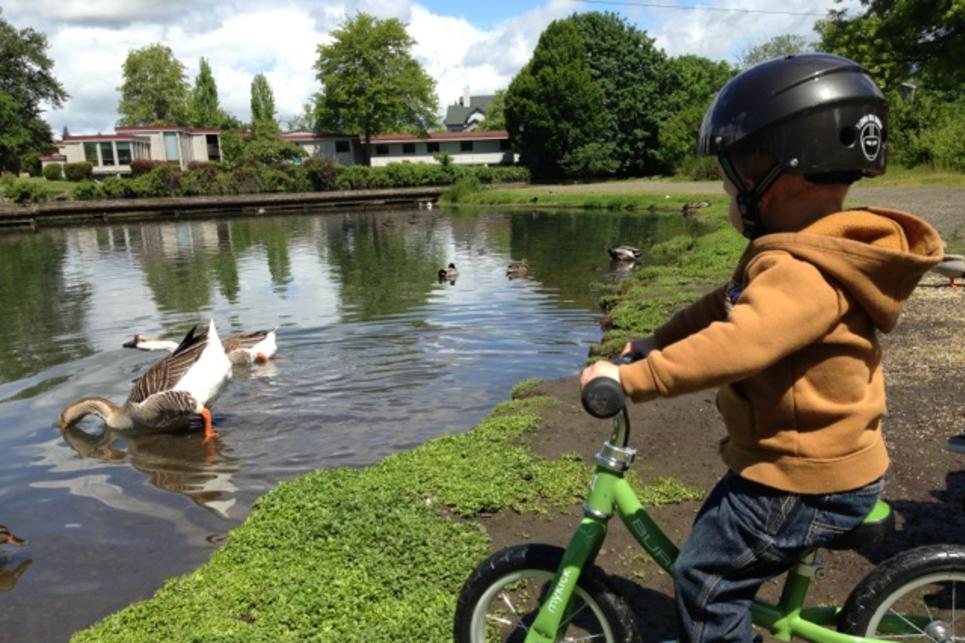 Child Cycling by Park Ducks by Melanie Bennett