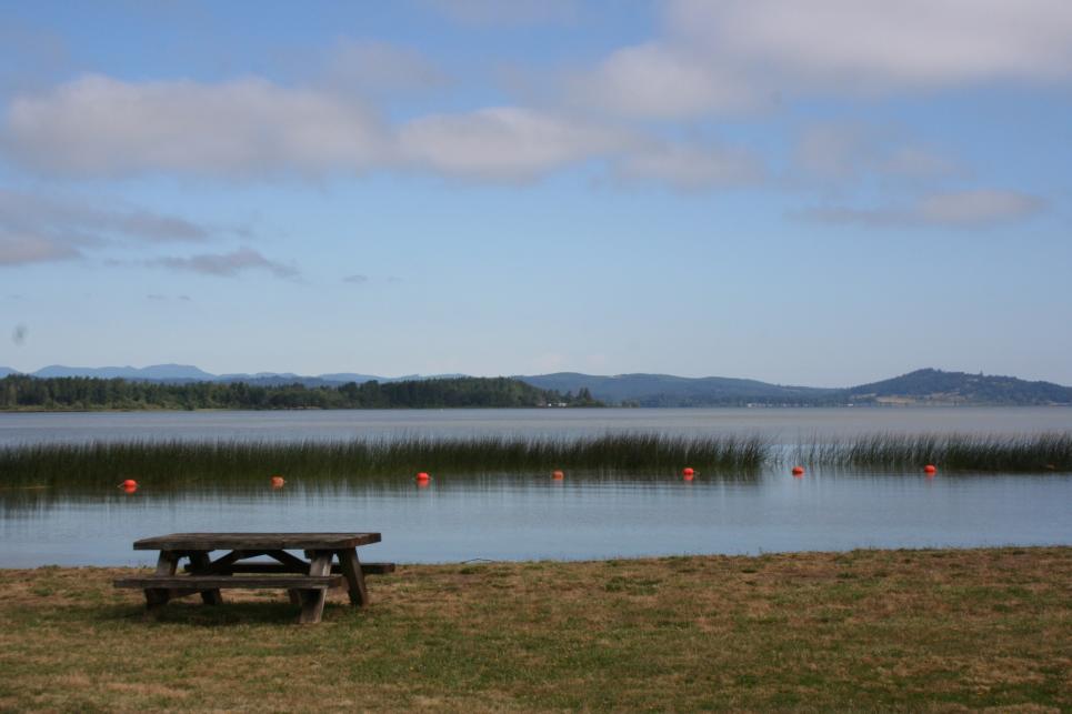 Perkins Peninsula Park Picnic by Taj Morgan