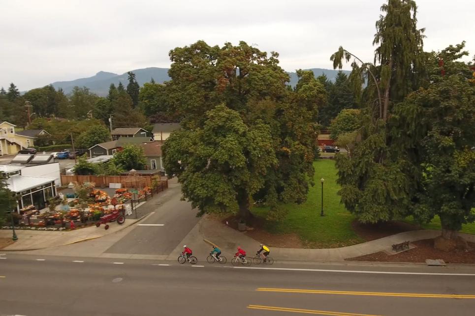 Cyclists along the road pass a park of trees in Coburg.