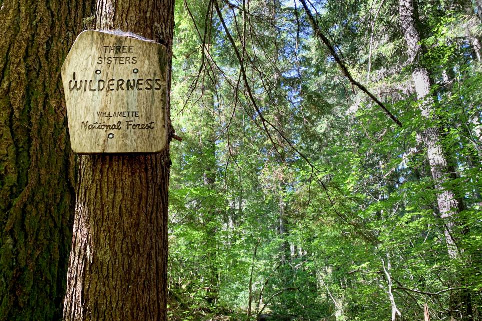 Three Sisters Wilderness Proxy Falls Trail sign