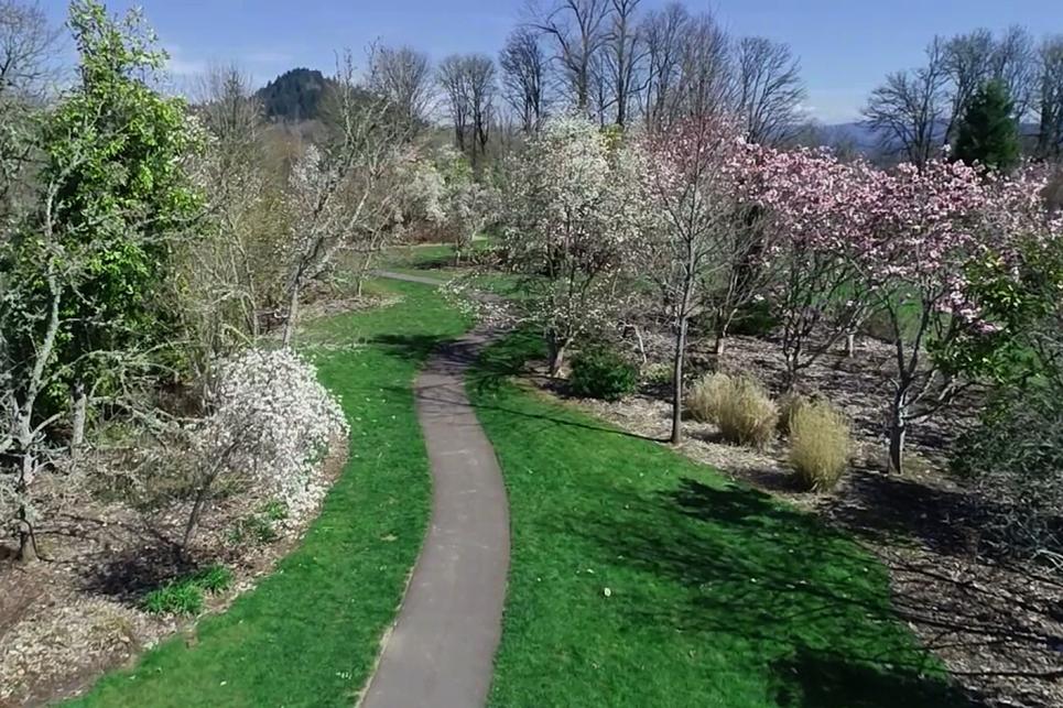 Ruff Park & Magnolia Arboretum by Chelsea Clarkson