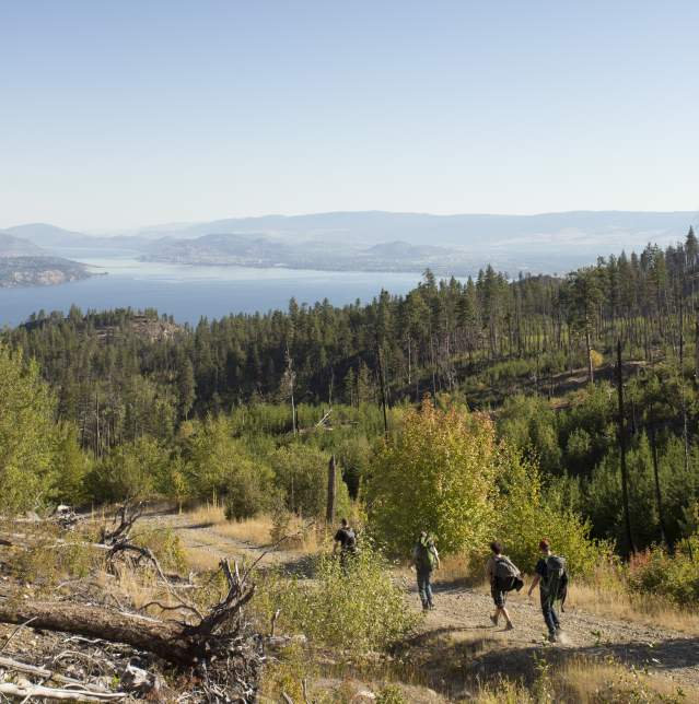 Okanagan Mountain Park Hike