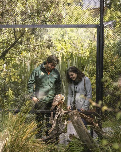 People looking into an enclosure at a Kaka, New Zealand Native Parrot