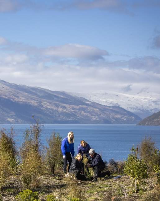Group plating trees at at Jardine Park, Kelvin Heights,