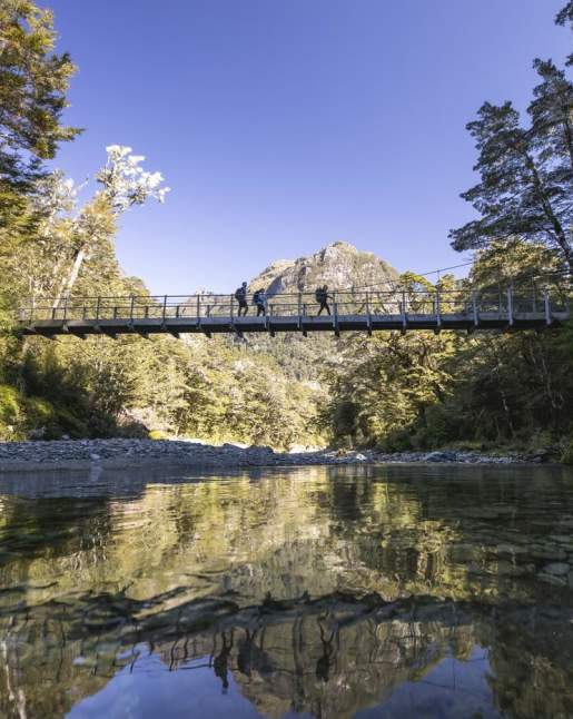 Suspended bridge over river surrounded by trees