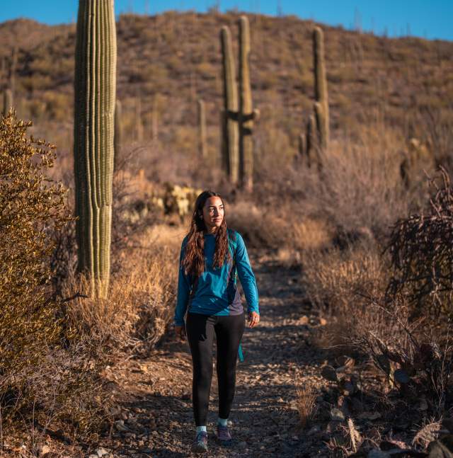 Hiking in Tucson Mountain Park