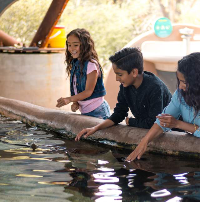 Actividades con Niños