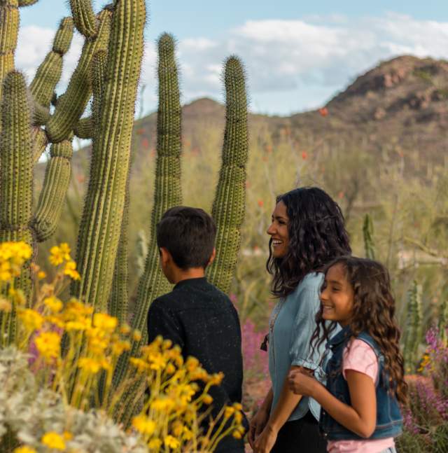 Arizona-Sonora Desert Museum