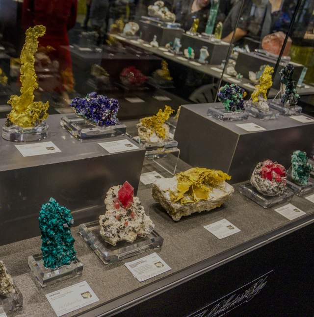 Display at the Tucson Gem, Mineral, and Fossil Showcase