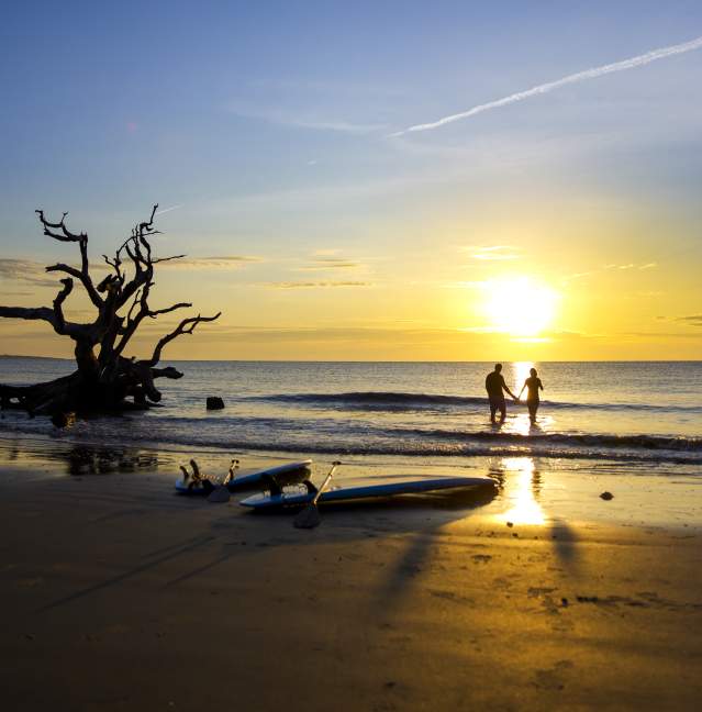 Driftwood Beach on Jekyll Island
