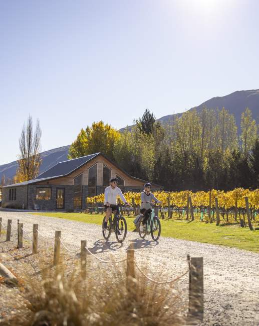 Two people biking next to vines in Gibbston