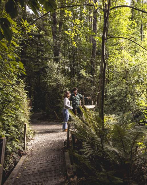 Two people surrounded by native bush at the kiwi park