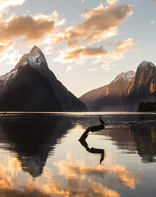 Wide shot of Milford Sound showing towering mountain peaks of the fiord and reflections in the water at sunrise