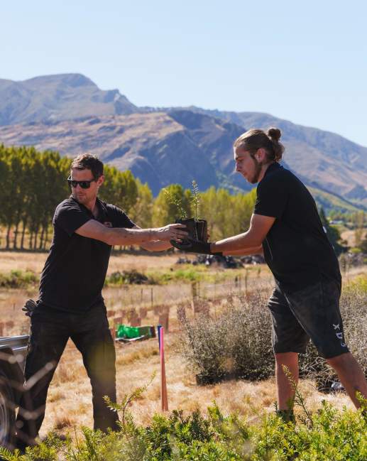 People helping at a volunteering planting day
