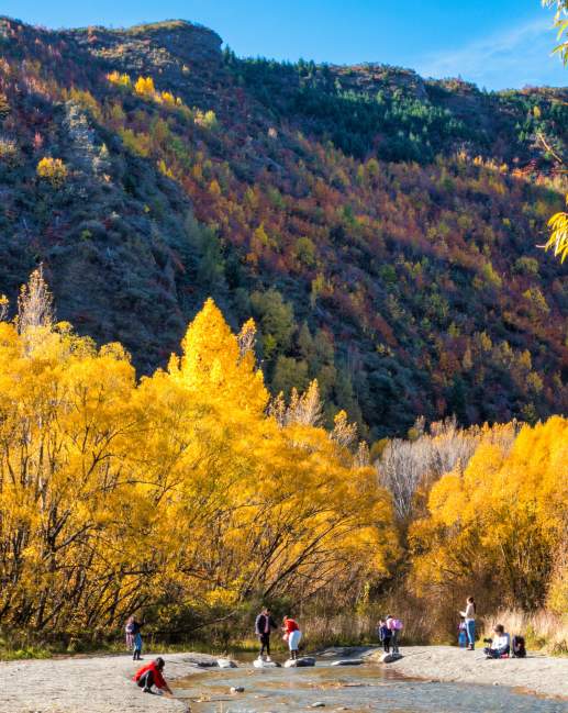 Gold panning in the Arrow River in Autumn