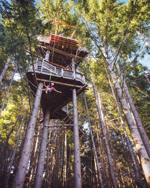 Ziptrek Ecotours | Travel Trade Queenstown