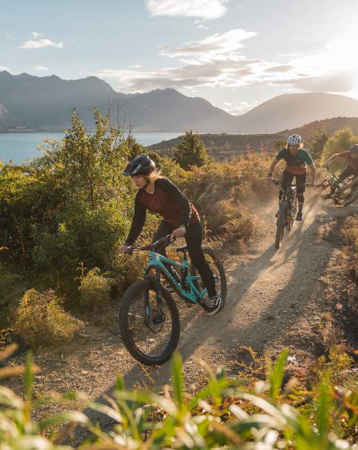MTB