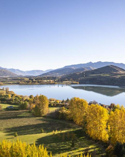 An aerial shot of Lake Hayes on an autumn day